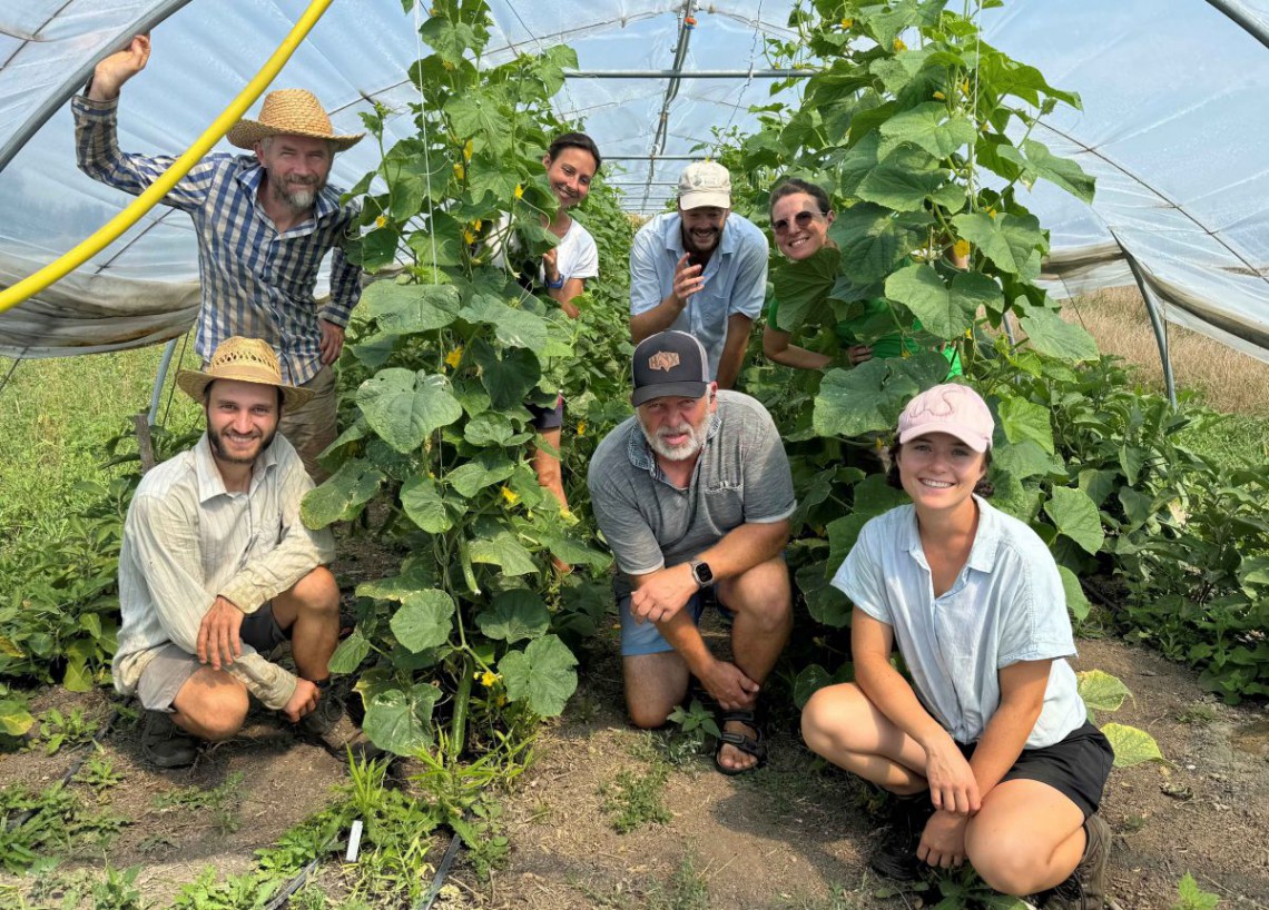 Grand Farm Mitarbeiter im Folientunnel am Feld