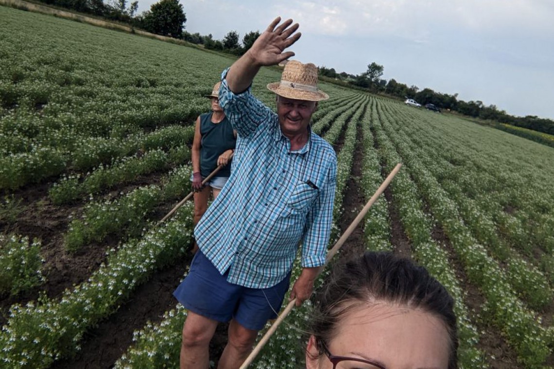 Familie Hansi bei der Arbeit