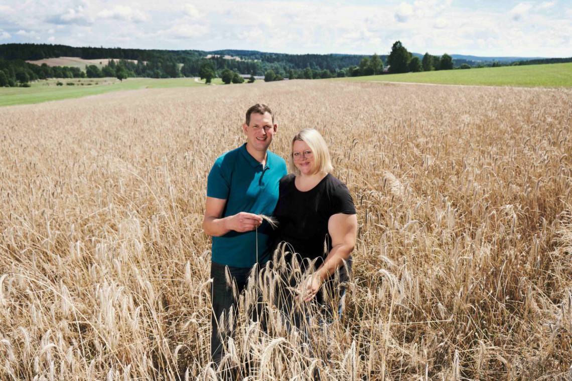 Familie Hammerschmidt im Kornfeld