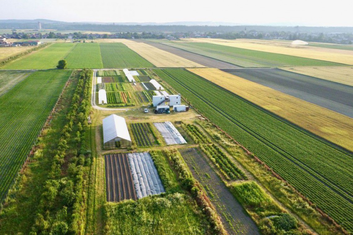 Grand Garten, gesamter Betrieb Luftbild