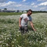 Bild anzeigen: hansi-am-feld