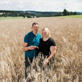 Bild anzeigen: Familie Hammerschmidt im Kornfeld