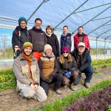 Bild anzeigen: Grand Garten Team im Folientunnel