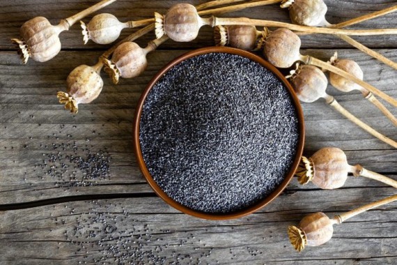 Kochen & Backen mit Mohn - So schmeckt NÖ