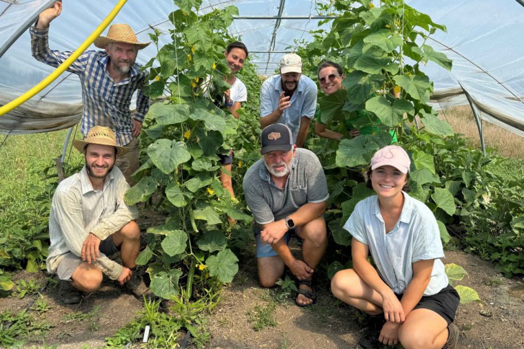 Grand Farm Mitarbeiter im Folientunnel am Feld