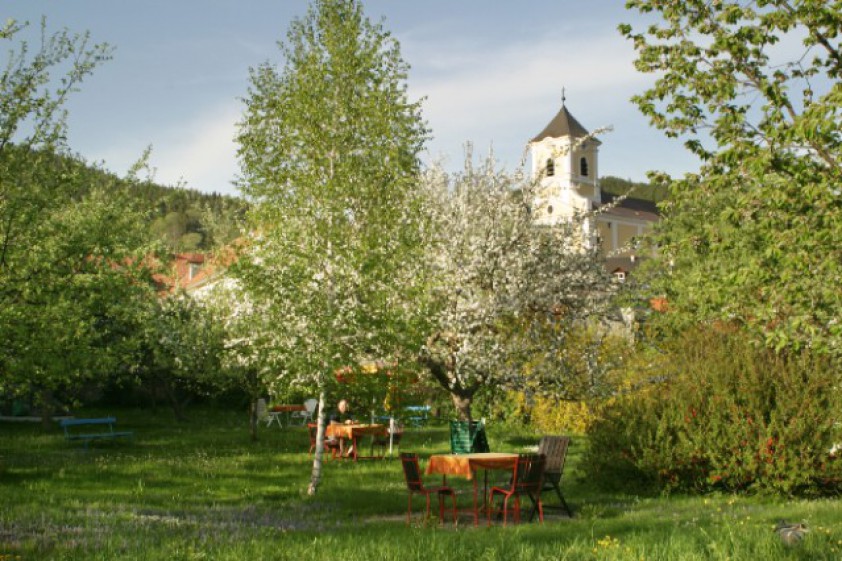 Wirtshaus Grüner Baum So schmeckt Niederösterreich